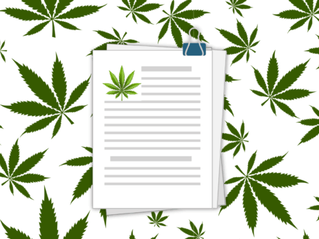 Cannabis Certificate of Analysis